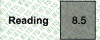 Reading Score