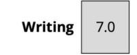 Writing Score