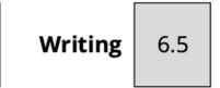 Writing Score